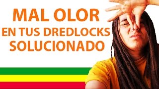 mal olor en los dreadlocks o rastas que hacer para solucionar  RASTA LATINO [upl. by Aetnuahs]