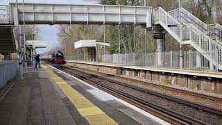 Royal Scot pulling The Golden Arrow through Harrietsham March 2024 [upl. by Binnings721]