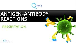 Antigen Antibody reactions Part 2 Precipitation Review for NEETPG USMLE amp MBBS [upl. by Garzon647]