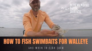 How To Fish Swimbaits for Walleye  And When To Fish Them [upl. by Pryor649]