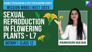 Double Fertilisation amp Post Fertilisation Events Class 12  Reproduction in Flowering Plants L7 [upl. by Llecrup]