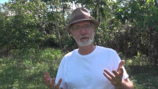 Dr C Michael Mikkal Smith PhD Ayahuasca experience Iquitos Peru [upl. by Obmar586]