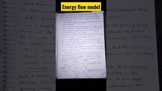 Energy flow model ☀️ in ecosystem and its type notes short study ecology energyflow [upl. by Amrak]