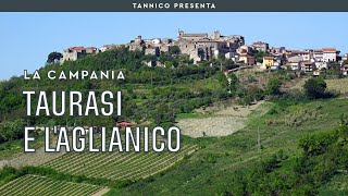 Taurasi l’Aglianico e il Radici di Mastroberardino  Tannico [upl. by Arrio533]