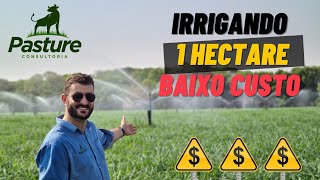 ESSE É O JEITO MAIS BARATO DE VOCÊ IRRIGAR 1 HECTARE DE PASTO [upl. by Iam400]