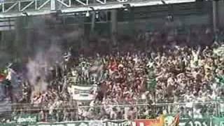 Salzburg Dosenverein  SK RAPID WIEN besten Fans Weltweit [upl. by Herries]