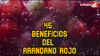 45 Beneficios del Arándano Rojo [upl. by Erdah360]