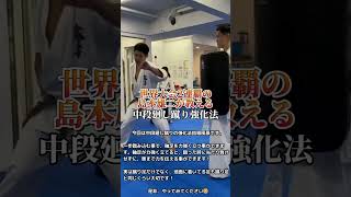 【新極真会】必見 中段廻し蹴りの強化法 SHINKYOKUSHINKAI KARATE [upl. by Sllew]