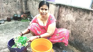 Fuldani Clean Vlog  Desi Wife  House Wife Vlog [upl. by Adnovad546]