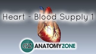 Blood supply to the heart  PART 1  Anatomy Tutorial [upl. by Roshan834]