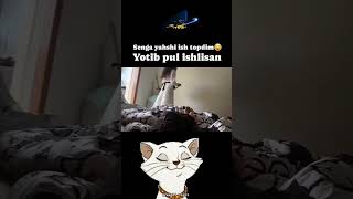 Senga yaxshi ish topdim jora 😇💟😅 uzbekistan sevishganlarsuhbati baxt1sarim million shorts [upl. by Jeanne]