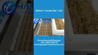 Bakery Cereal Bar Production Line [upl. by Ahseiym]