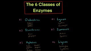 The 6 Classes of Enzymes w Mechanisms oxidoreductase transferase hydrolase lyase isomerase ligase [upl. by Akener170]