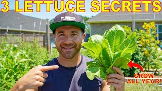 Growing Lettuce Youre Doing It WRONG 3 Tips To Grow TONS Of Lettuce All Year Long in Any Climate [upl. by Franni428]