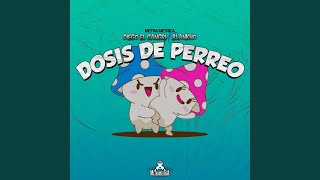 Dosis de Perreo [upl. by Yatnuhs570]