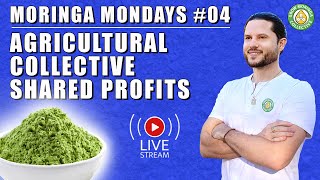 Agricultural Collective Business Model  Profit Shares amp Payouts  Farmers Market  Growing Moringa [upl. by Aneehsor]