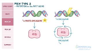 MEN SYNDROME pathology review [upl. by Bunde774]