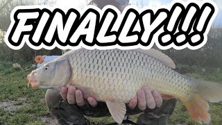 FINALLY CAUGHT AN AUTUMN CARP HSF PAULYS LAKE  CARP FISHING AUTUMN 2023 [upl. by Aidole966]