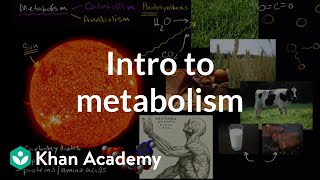 Introduction to metabolism anabolism and catabolism  Khan Academy [upl. by Alle292]