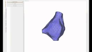 Neuronize A tool for building realistic neuronal cell morphologies [upl. by Violet]