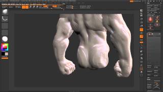 zBrush Time Lapse  Speed Sculpting Anatomy [upl. by Julieta]