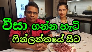 ෆින්ලන්තය ගැන හිරුනිගේ ගෙදර සිට ප්‍රශ්න සහ පිලිතුරු [upl. by Aydiv]