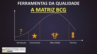 Ferramentas da Qualidade  A Matriz BCG [upl. by Odravde]