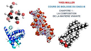 Chapitre 1 – Composition de la matière vivante  Cours de Biologie du DAEUB [upl. by Delle]