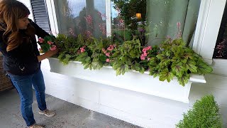 Planting Full Shade Window Boxes 💚🌿💚  Garden Answer [upl. by Leor]