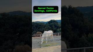 Garrod Farm Saratoga California [upl. by Griffin43]