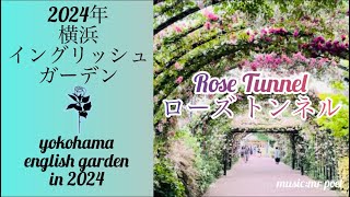 【2024年 横浜イングリッシュガーデン 〜ローズ トンネル〜】yokohama english garden in 2024「rose tunnel」 [upl. by Richie]