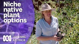 Native plants to grow in every environmental niche  Australian native plants  Gardening Australia [upl. by Atkinson]