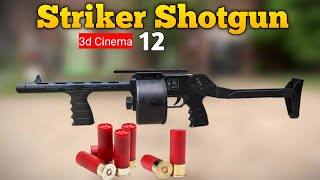 Striker 12  Shotgun  Repeater Rifle [upl. by Aneloaup]