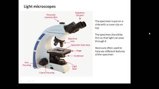 BTEC Applied Science Unit 1 Biology Microscopes [upl. by Margaretta398]