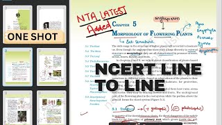 NCERT line to line series 📚✨ morphology of flowering plants oneshot📚  Biology class 11th NEET [upl. by Ordnas]