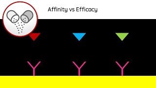 Affinity vs Efficacy  Drug action revision video agonists antagonists  GCSE A Level University [upl. by Einattirb]