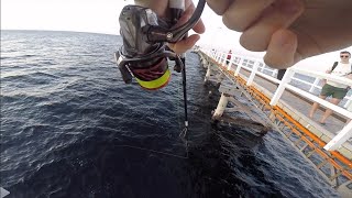 Fishing Busselton Jetty  Meelup Beach WA [upl. by Aknahs]