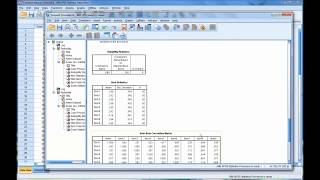 Calculating and Interpreting Cronbachs Alpha Using SPSS [upl. by Itsrik489]