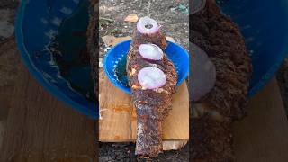 Fish Fry Recipe  PM COOKING  Short Video shorts cooking video [upl. by Yrtnahc621]