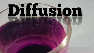 Diffusion using Potassium Permanganate in water [upl. by Hilly]