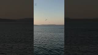 ÇANAKKALE Boğazı Feribot Turu  Dardanelles Sunset 4K Ferry Tour [upl. by Anival]