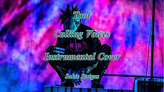 Tool  Culling Voices Instrumental coverLyrics [upl. by Miran]