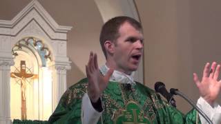 ASP  Fr Jonathan Meyer  Comments on Supreme Court decision about Marriage  62815 [upl. by Childers14]