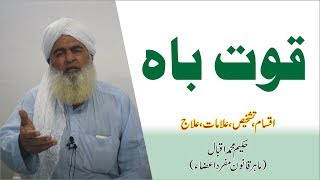 Quwat e Bah ka Elaj ● مجربات قوت ● Hakeem Muhammad Iqbal [upl. by Pampuch]