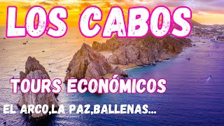 LOS CABOS 🔴 Que hacer [upl. by Zingale]