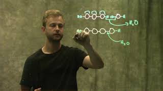 Monomers and Polymers [upl. by Hynes]