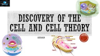 Discovery Of The Cell And Cell Theory [upl. by Raimes40]