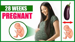 28 Weeks Pregnant – Baby Movement and Baby Size Position [upl. by Neemsaj]