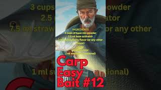 Carp Bait  12 [upl. by Fital]