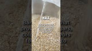 Malt  the barley grains that are foundational to beer 🍺 beer homemade [upl. by Euqinobe]